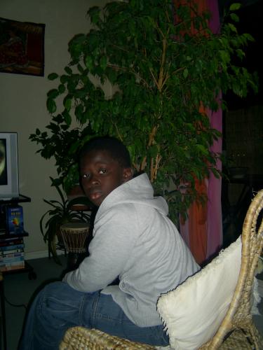 djibi